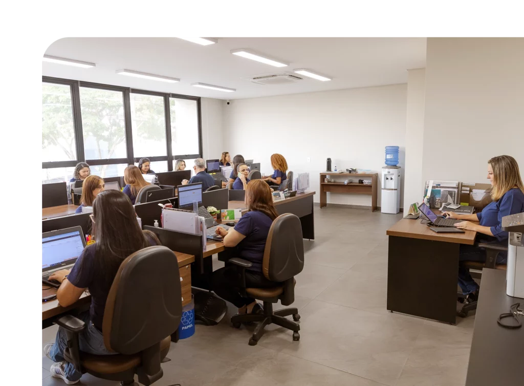 Distribuidora Produtos Limpeza Pulire