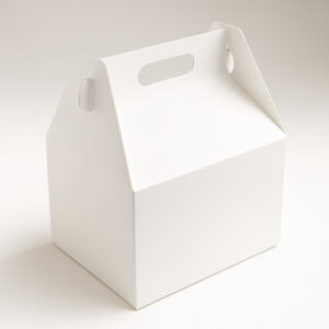 Caixa lanche fechada pct com 250