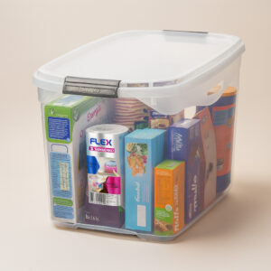 Caixa organizadora sr951 36l sanremo